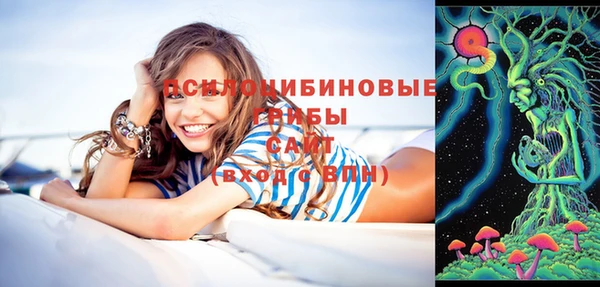 мескалин Горняк